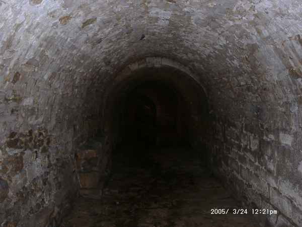 2005 03 24 1221 fontevraud l abbaye 051 
