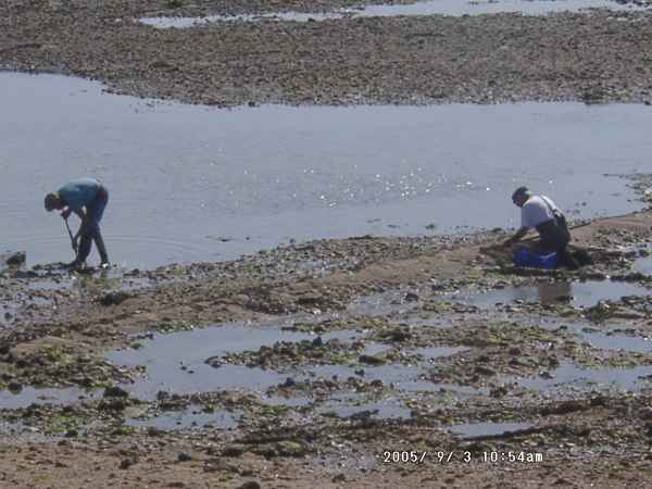 2005 09 03 1054 cycling 069 