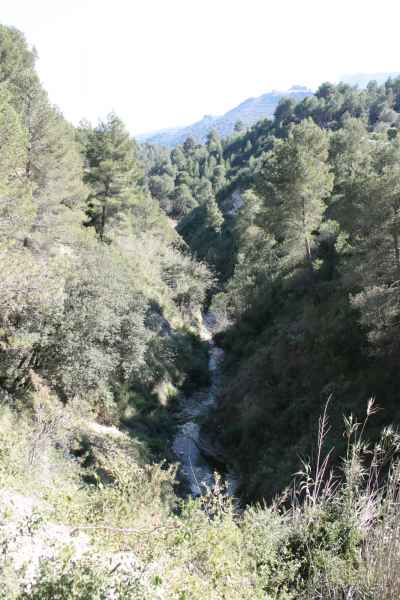 2008 03 09 benidorm benidorm 2008 walking 025 jpg