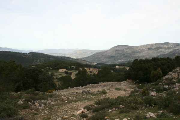 2008 03 11 benidorm benidorm 2008 028 jpg