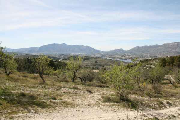 2008 03 11 benidorm benidorm 2008 walking 035 jpg