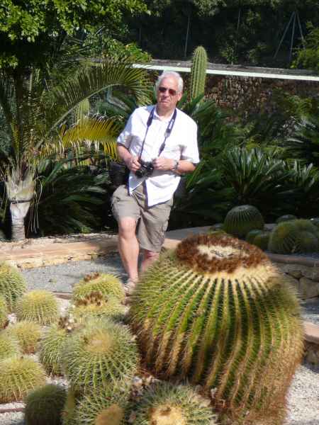 2008 03 14 benidorm benidorm 2008 plants 053 jpg