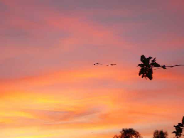 2009 09 23 alpinetour 2009 metz motorhome rubywedding sky 189 jpg