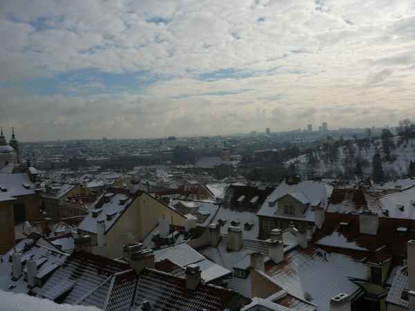 2011 01 24 denise60 prague prague 2011 041 jpg