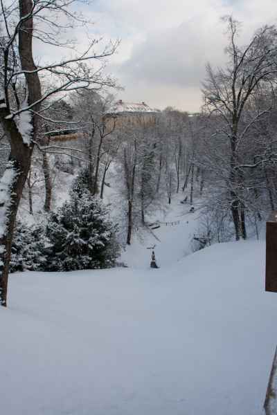 2011 01 24 denise60 prague prague 2011 051 jpg