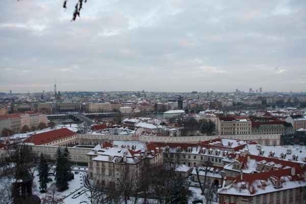 2011 01 24 denise60 prague prague 2011 066 jpg