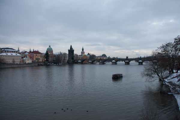 2011 01 24 denise60 prague prague 2011 071 jpg