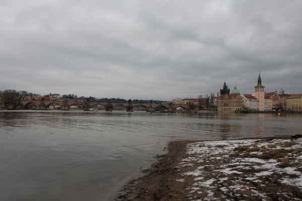 2011 01 26 denise60 prague prague 2011 115 jpg