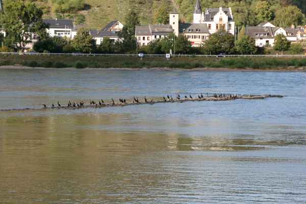 2011 09 12 rhine in flames trip cycling lorch motorhome 096 jpg