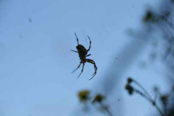 2011 09 12 rhine in flames trip cycling motorhome niederheimbach spider 095 jpg