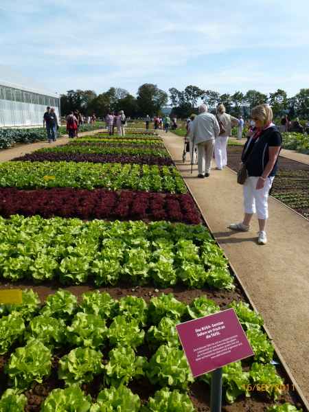 2011 09 16 rhine in flames trip flowershow koblenz motorhome 031 jpg