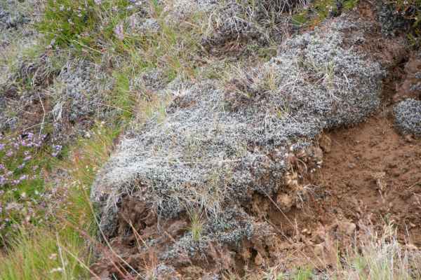 2012 08 06 iceland 2012 iceland krysuvik  sulphur pools 111 jpg 2