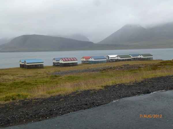 2012 08 08 iceland 2012 iceland thingeyri 146 jpg