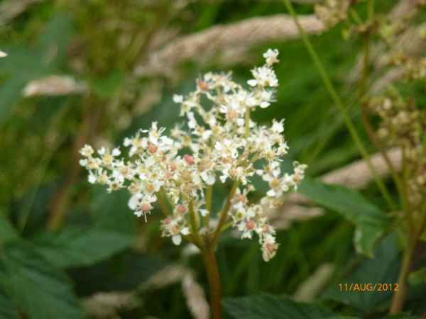 2012 08 12 iceland 2012 iceland skogafoss 200 jpg