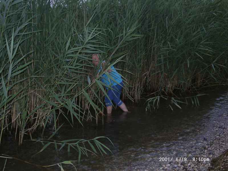 2001 06 18 denise sykes garda italy 2001 032 jpg 3