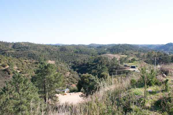 2012 02 09 portugal 2012 monchique walking 063 jpg