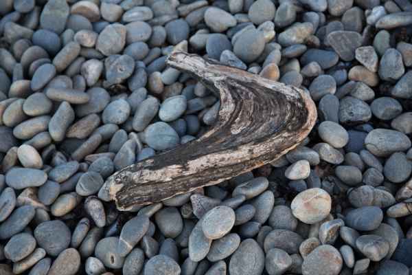 2013 06 13 france2013 lapalus plouha 068 jpg