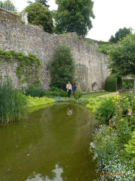 2013 06 22 chateau gontier flowers france2013 plants 117 jpg