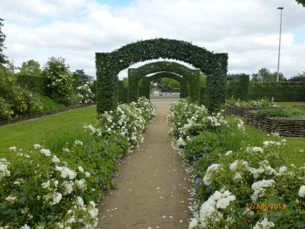 2013 06 22 chateau gontier flowers france2013 plants 119 jpg