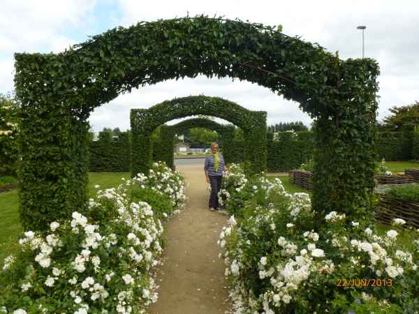 2013 06 22 chateau gontier flowers france2013 plants 120 jpg