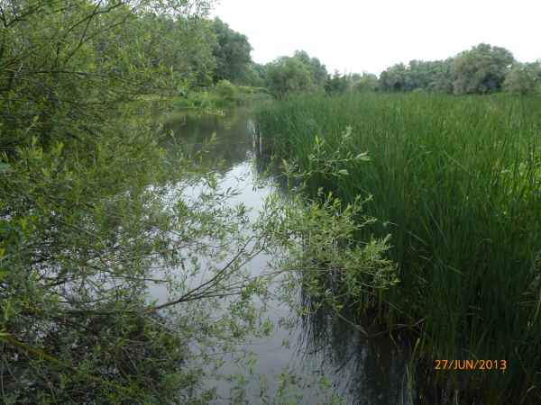 2013 06 27 france2013 oustmaarland 153 jpg
