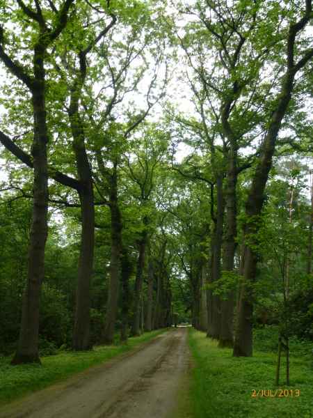2013 07 02 brasschaat france2013 187 jpg