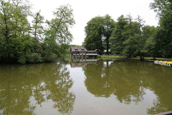 2013 07 02 brasschaat france2013 188 jpg