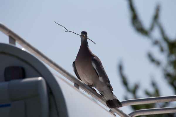 2013 07 09 france2013 221 jpg