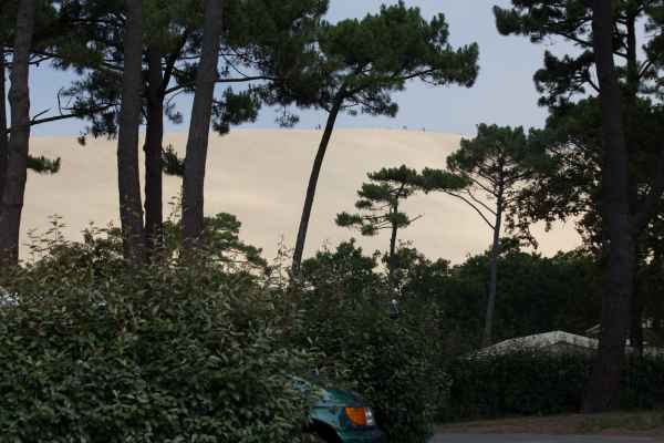 2014 07 24 birds dune de pilat france2014 motorhome 135 jpg