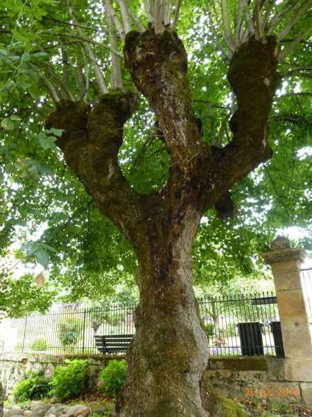2014 07 25 france2014 lalinde motorhome 151 jpg