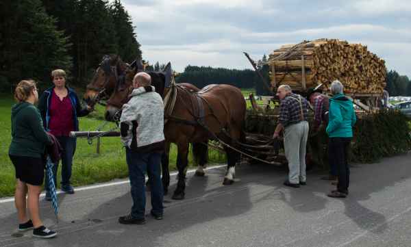 2015 09 13 burggen europe 2015 horses 197 jpg