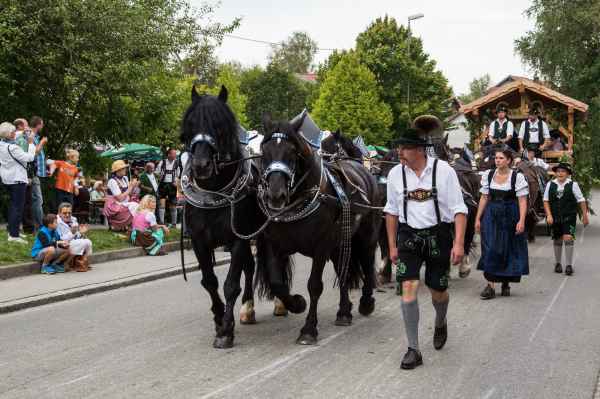 2015 09 13 burggen europe 2015 horses 201 jpg
