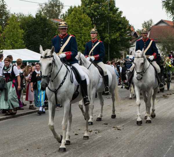 2015 09 13 burggen europe 2015 horses 202 jpg