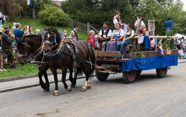 2015 09 13 burggen europe 2015 horses 207 jpg