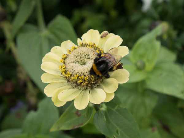 2015 09 18 europe 2015 weikersheim 215 jpg