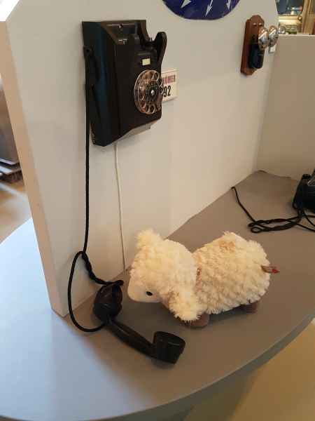 2016 10 18 estersheep iceland 2016 050 jpg