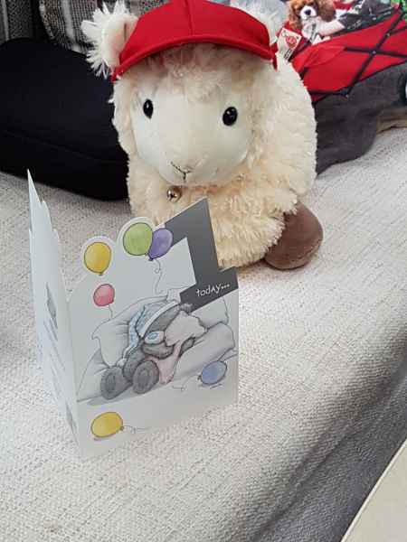 2017 06 05 birthdays estersheep europe 2017 alpine motorhome pre ccc tour wurtzberg 085 jpg