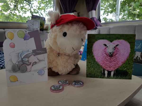 2017 06 05 birthdays estersheep europe 2017 alpine motorhome pre ccc tour wurtzberg 086 jpg