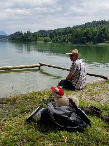 2017 06 12 ccc alpine tour cycling estersheep europe 2017 alpine kramsach motorhome peter sykes 023 jpg