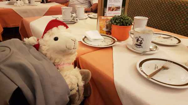 2017 06 14 ccc alpine tour estersheep europe 2017 alpine motorhome rattenberg 084 jpg