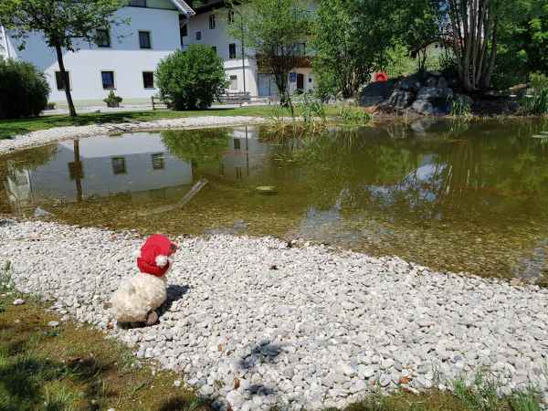2017 06 15 breitenbach am inn ccc alpine tour estersheep europe 2017 alpine motorhome walking 113 jpg