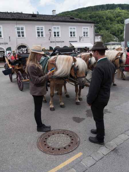 2017 06 17 ccc alpine tour europe 2017 alpine motorhome salzberg 050 jpg