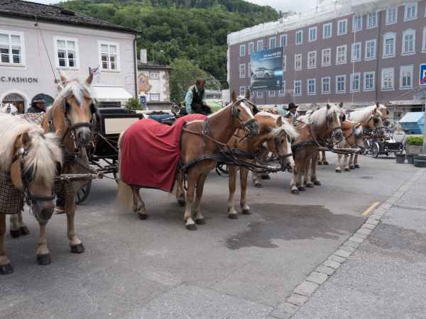 2017 06 17 ccc alpine tour europe 2017 alpine motorhome salzberg 051 jpg