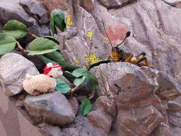 2017 06 18 ccc alpine tour estersheep europe 2017 alpine grossglockner pass motorhome 072 jpg