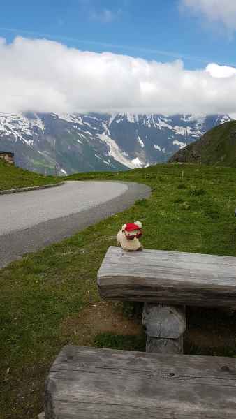 2017 06 18 ccc alpine tour estersheep europe 2017 alpine grossglockner pass motorhome 083 jpg