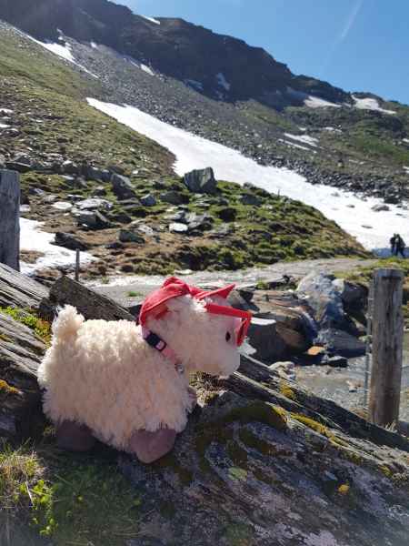 2017 06 18 ccc alpine tour estersheep europe 2017 alpine grossglockner pass motorhome 116 jpg