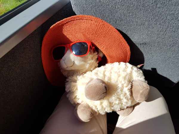 2017 06 18 ccc alpine tour estersheep europe 2017 alpine grossglockner pass motorhome 121 jpg