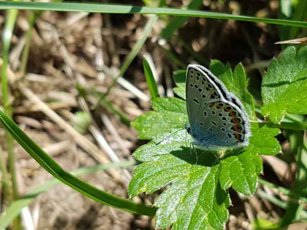 2017 06 19 ccc alpine tour europe 2017 alpine motorhome zell am see 126 jpg