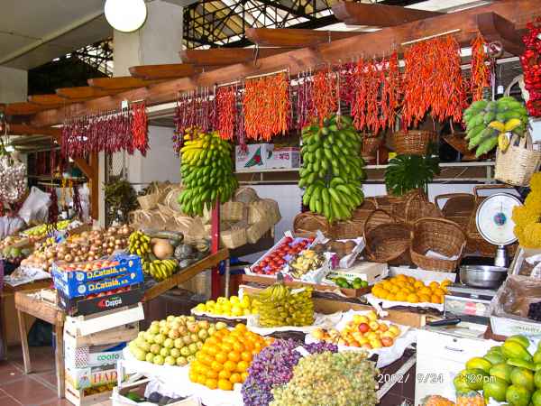 2002 09 24 flora forna funchal madeira 2002 028 jpg