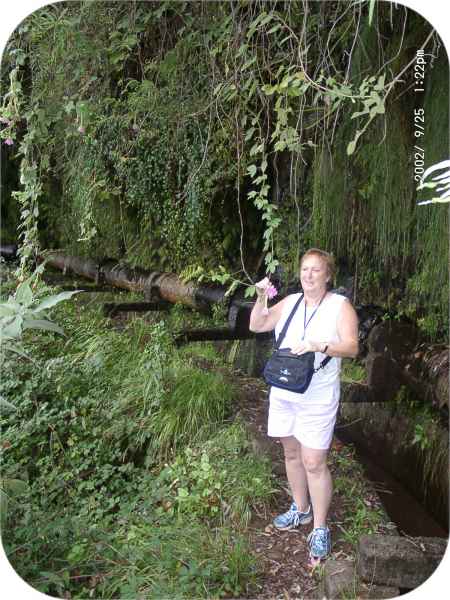 2002 09 25 denise sykes madeira 2002 walking 040 jpg